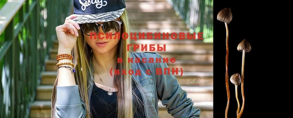крисы Медногорск