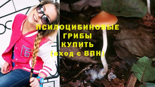 крисы Медногорск