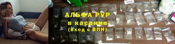 индика Магас