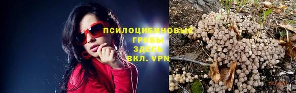 амф Баксан